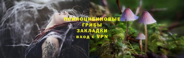 мдпв Верхний Тагил