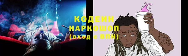 мдпв Верхний Тагил