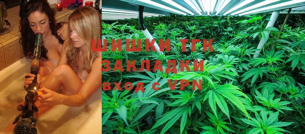 мдпв Верхний Тагил